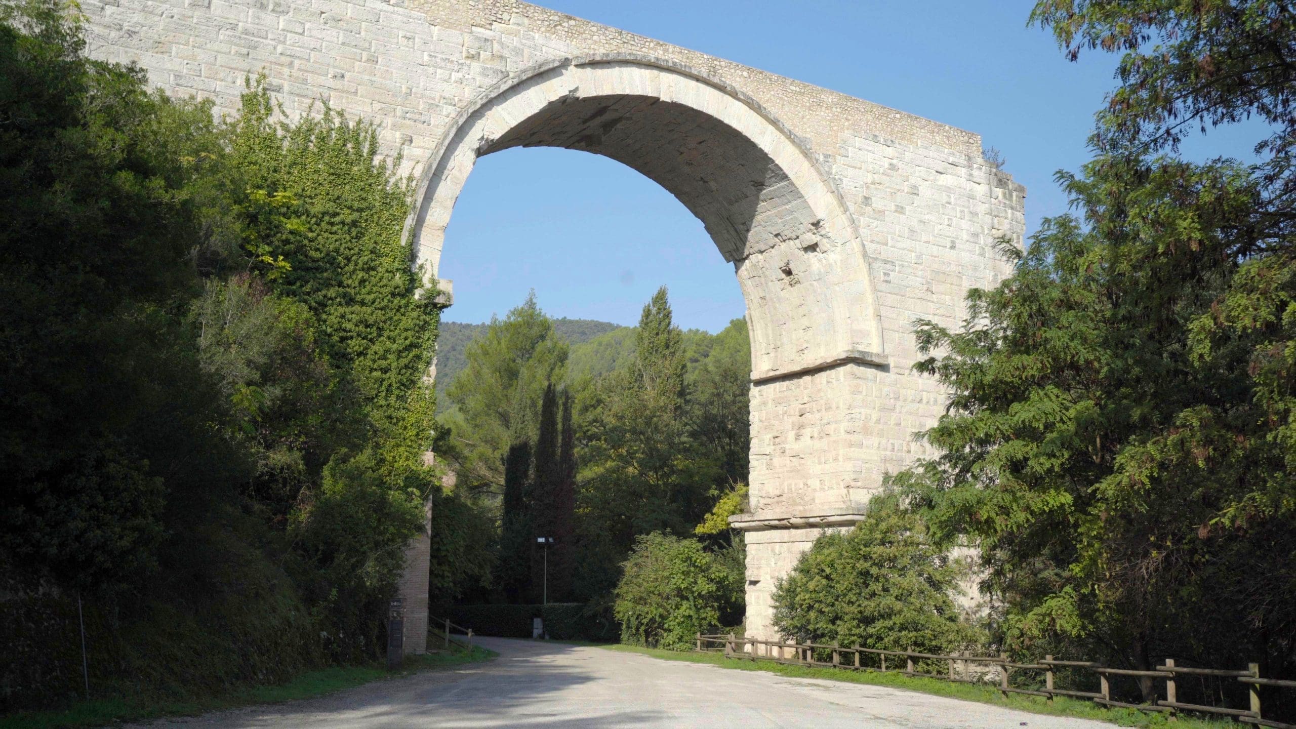 C0016