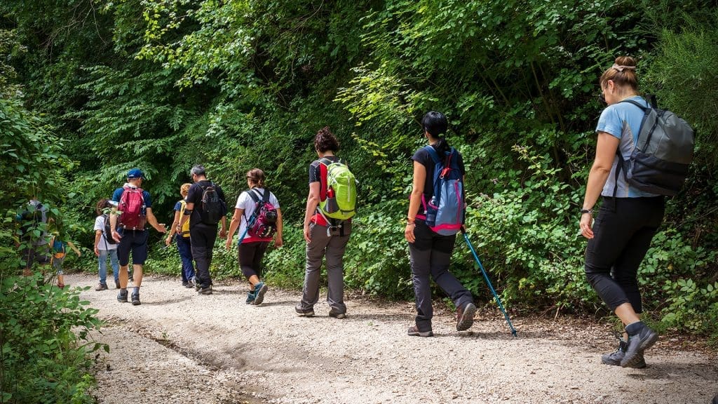 Calcata (VT), Italy - June 13, 2020: Group of hikers walks the path inside the woods. People walk in a row and wear technical clothing and specific sticks for outdoors.