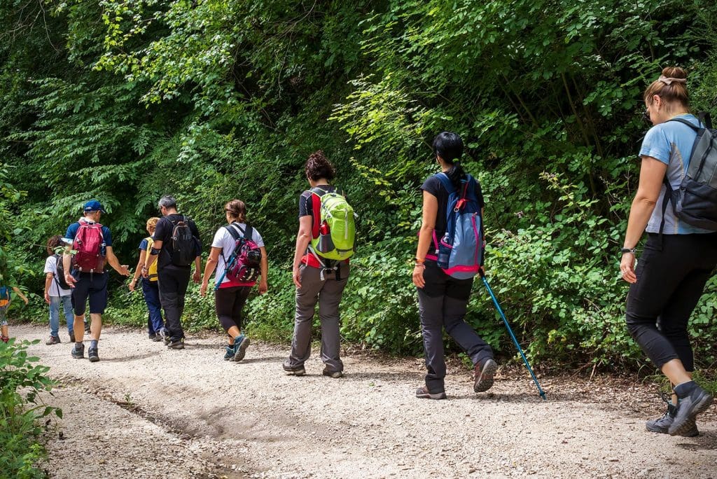 Cesi, in the footsteps of Francis